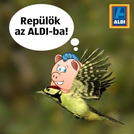 ÁrTúró most tudta meg, hogy új akció indult...