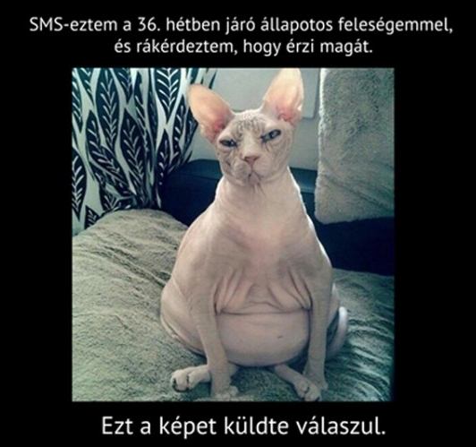 Önnek új üzenete érkezett 🙂