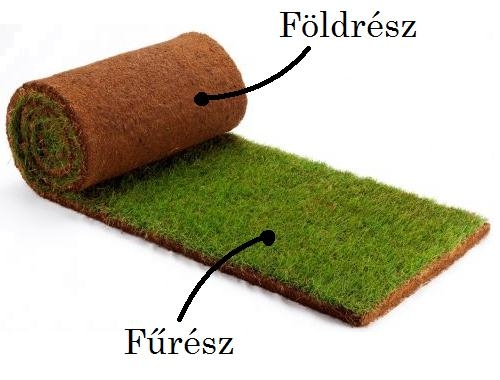 Kertészeti ismeretek