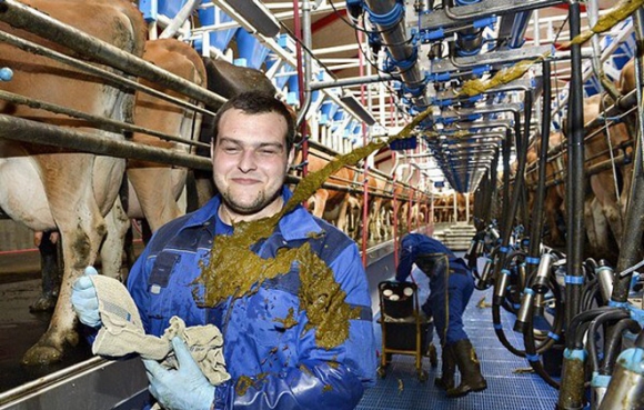 Veszélyes szakma...