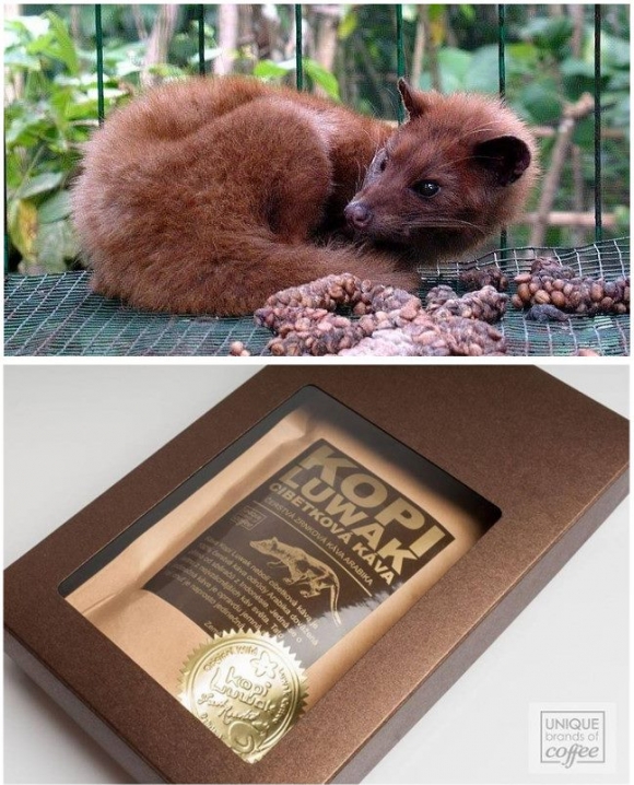 Kávézgatunk, kávézgatunk?