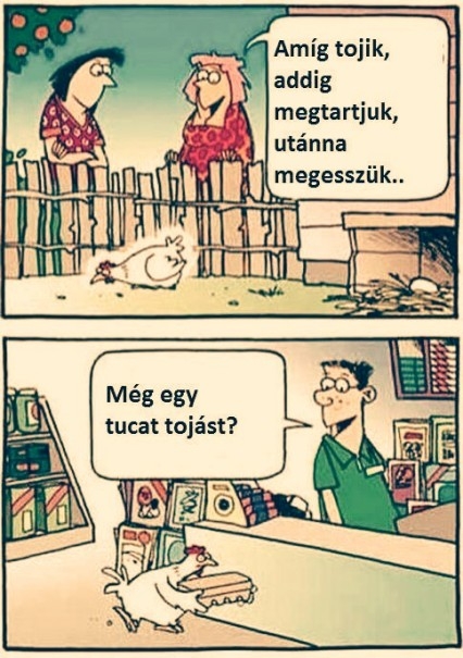 Egy rafkós tyúk