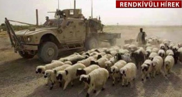 Szexrabszolgákat menekítettek ki az ISIS fedőnevű hadsereg fogságából