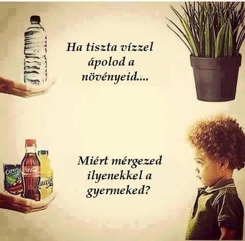 Felmerült egy kérdés