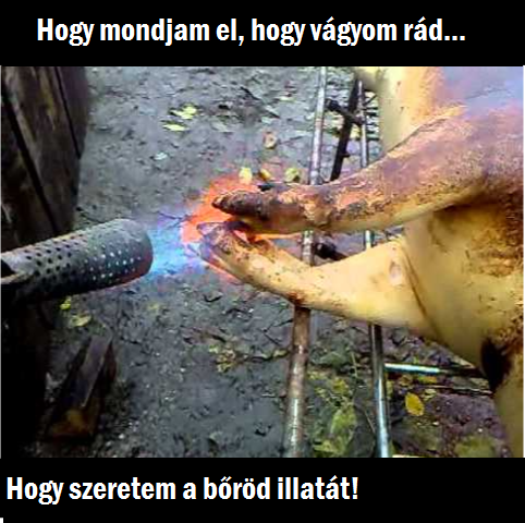 Egy Romanticus disznóvágás...
