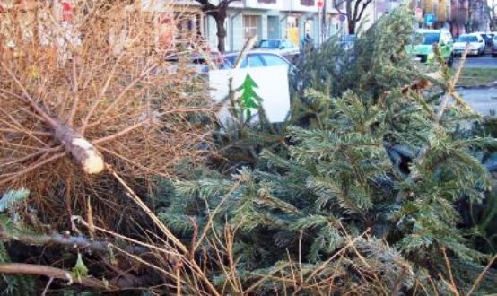 Január 6. - Vízkereszt