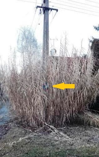 Te látod? Mert mi alig...