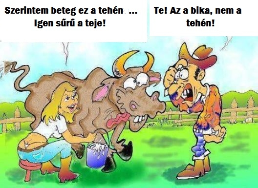 Szőke nő a farmon...