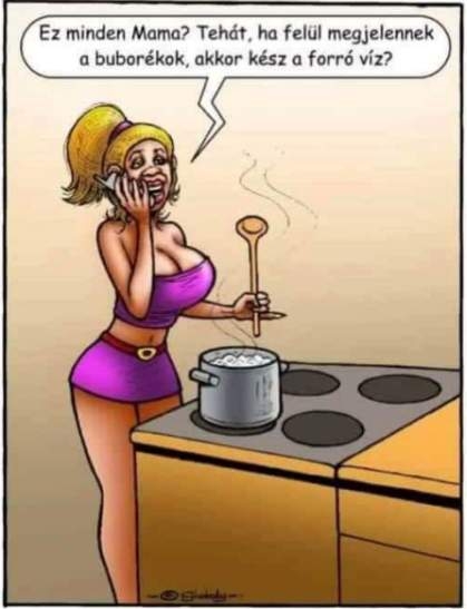 Szőke nő a konyhában...