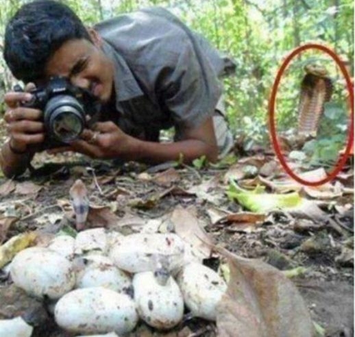 Ali éppen utolsó fotóját készíti...