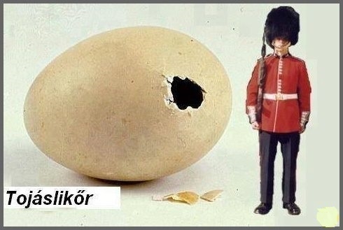 Szórejtvény rovatunk mai nyertese