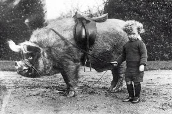 Innen ered a felkapott mondás :D