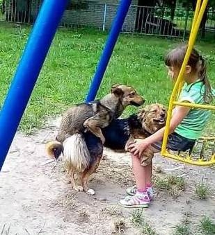 Vakáció, irány a játszótér!