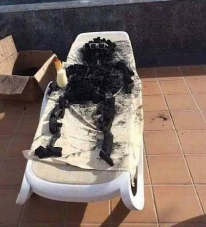 Naptej legyen nálad!