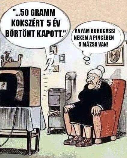 Piri néni belenézett a rendőrségi hírekbe...