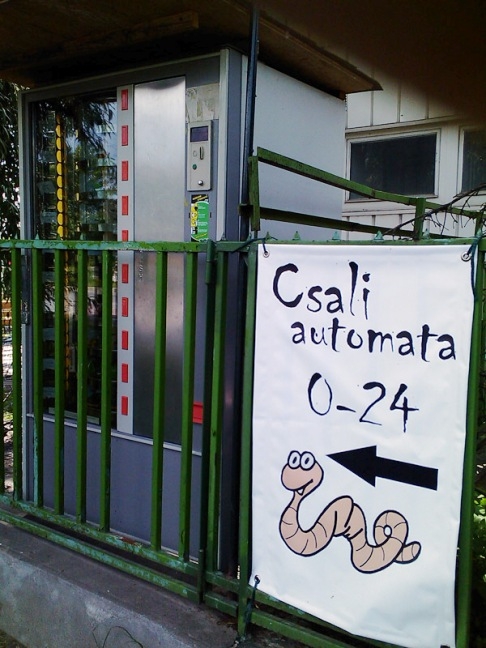 Ha csontira lenne szükséged...