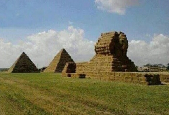 A szövetkezet dolgozói hazaértek Egyiptomból