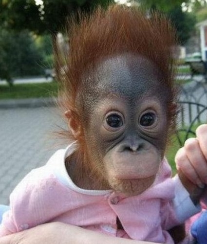 Ilyen arcot vágok, amikor...