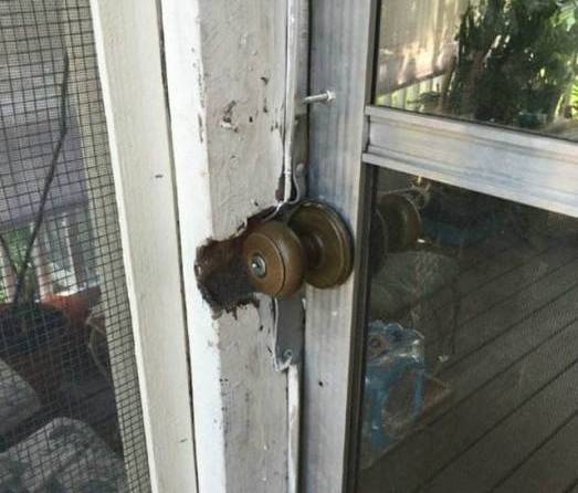 McMester Kft - hétvégén sem pihennek