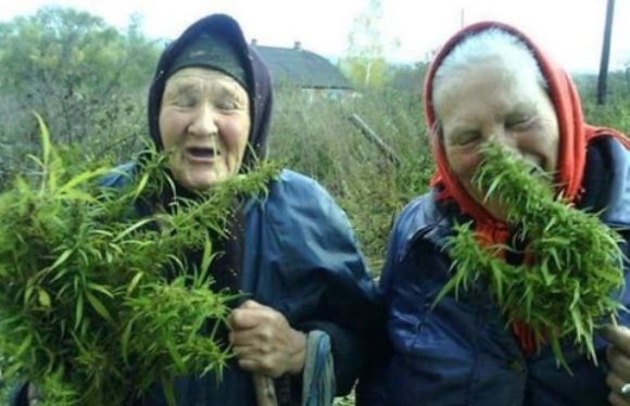 Mariska néniék most vették észre, hogy...