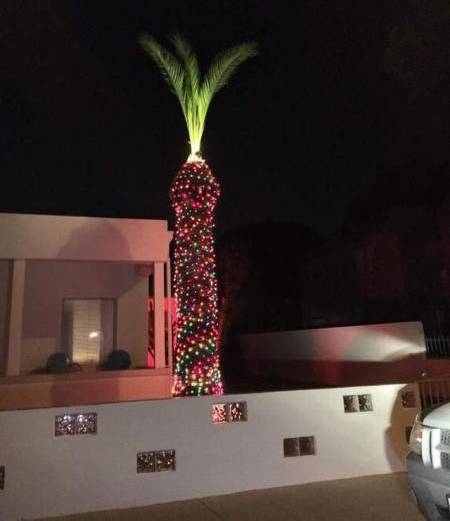 F@sza kis ünnepi hangulatot sikerült varázsolniuk