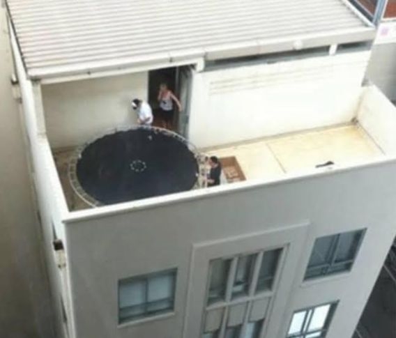 Napi definíció - Természetes kiválasztódás