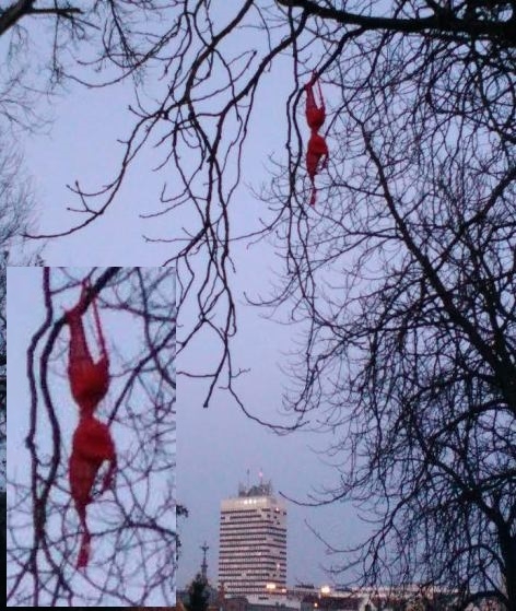 Nagy buli lehetett Veszprémben :P