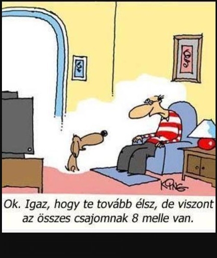 Csahos kioktatja a gazdit...