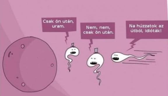 Hogyan haltak ki az úriemberek