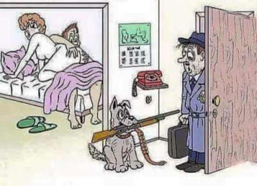 A kutya az ember legjobb barátja