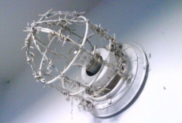 Egy bizarr megoldás