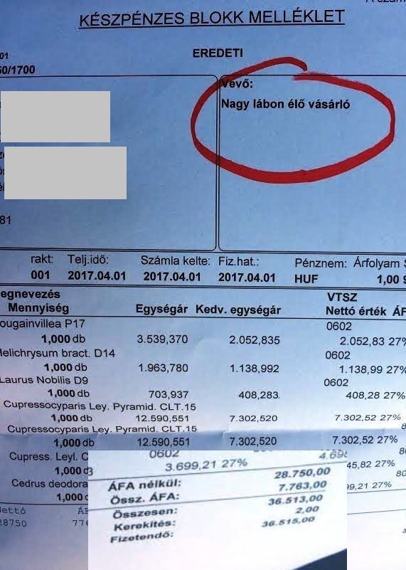 Gazdagék bevásároltak