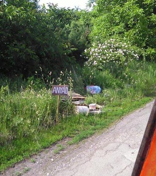 Egyértelmű üzenet!