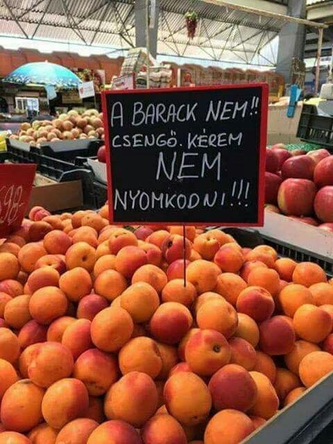 Info a vásárcsarnokban