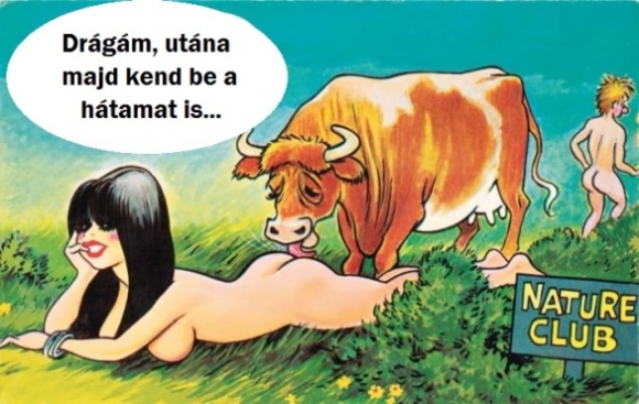 Eközben a nudista strandon