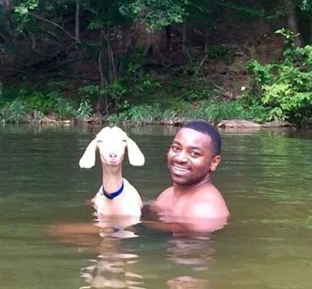 Napi definíció - Mézeshetek