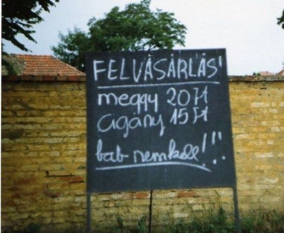 Felvásárlás