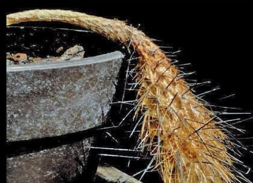 Olyan rohadt meleg van kint, hogy a...