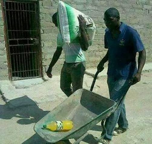 Őket sem az eszükért vették fel...