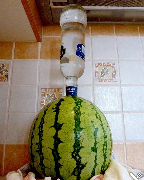 Ettől tuti bekábulsz - Vodkás dinnye