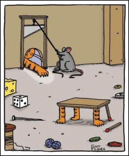 Lassan kész az asztal...