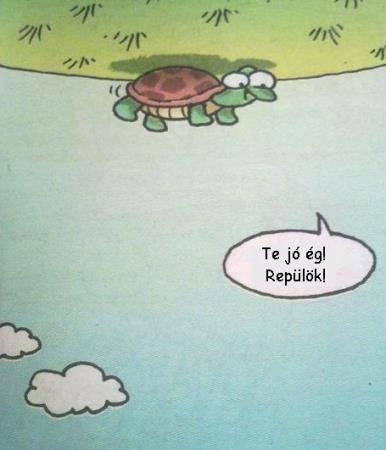 Napi definíció - optimizmus