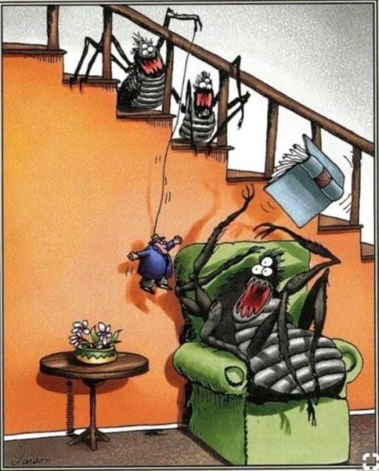 Egy fordított világban