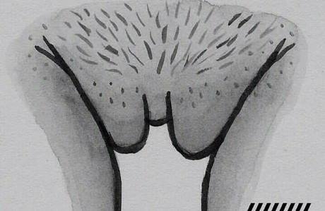 Már csak pár nap, és szilveszter