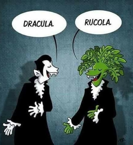 Napi zsibbasztó