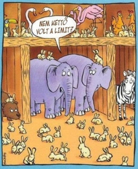 A 39. nap a bárkán