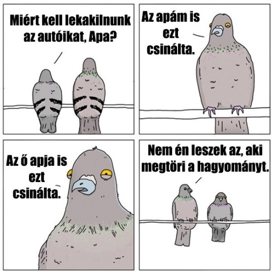 Ha beszélni tudnának...