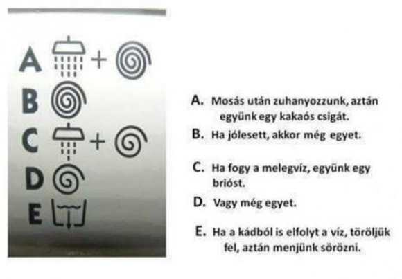 Mosóprogram pasiknak