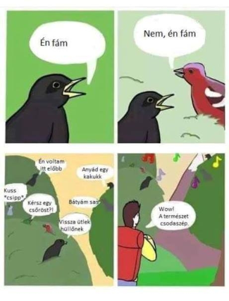 Már hallom a tavasz hangjait