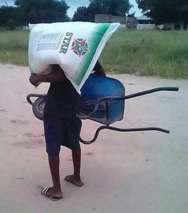 Esze ereje, mint a bivalynak